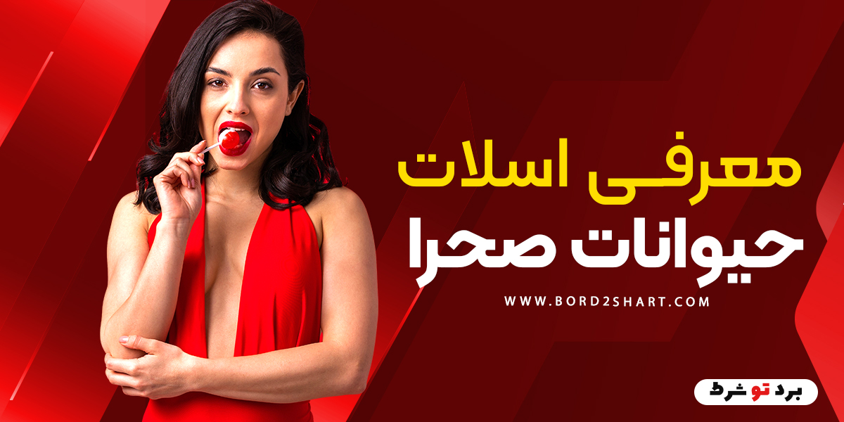 bord2shart 3 1 - معرفی اسلات حیوانات صحرا