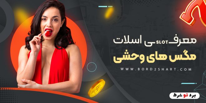 معرفی اسلات مگس های وحشی