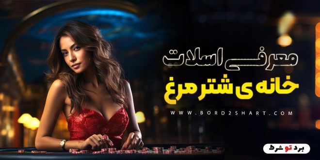 معرفی اسلات خانه ی شتر مرغ