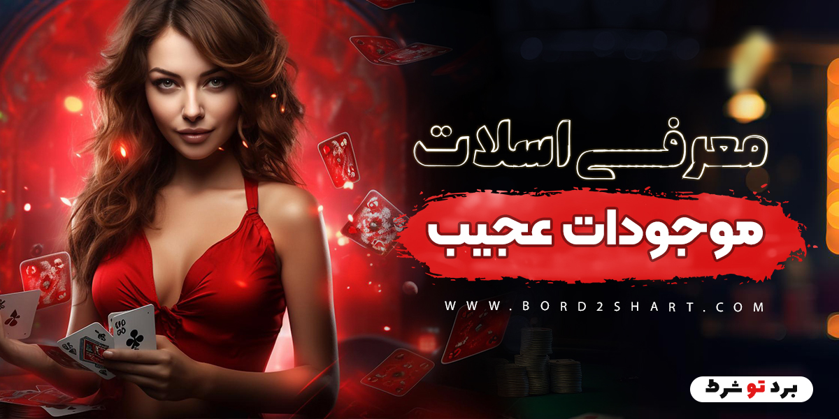 bord2shart 4 - معرفی اسلات موجودات عجیب